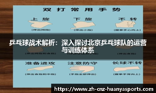 乒乓球战术解析：深入探讨北京乒乓球队的运营与训练体系